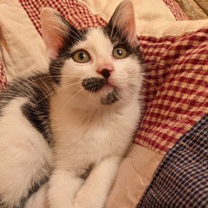 Meet your Posher, Judith